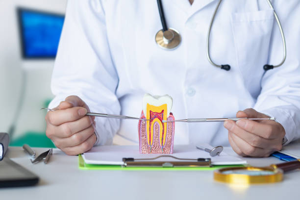Best Pediatric Emergency Dentist in Martsville, IN